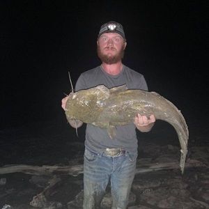 Meet your Posher, Joey